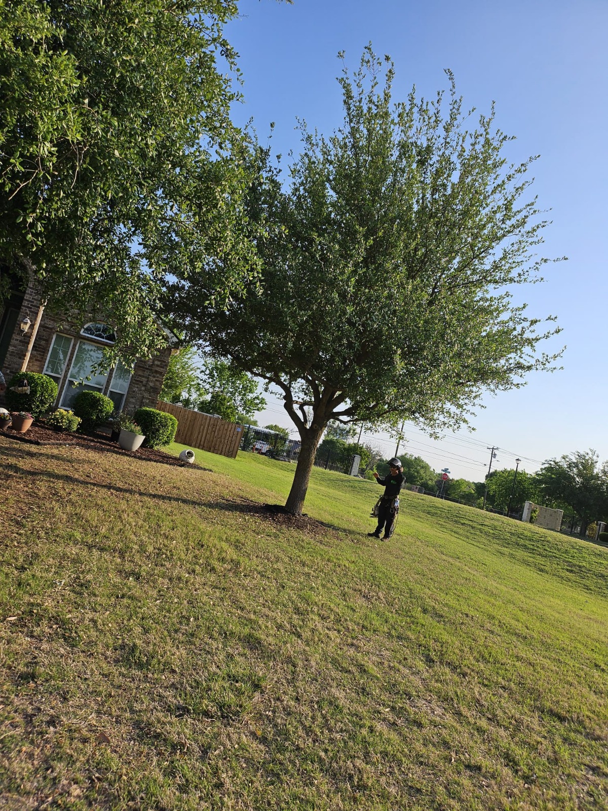 WhatsApp Image 2026-02-16 at 2.45.36 PM