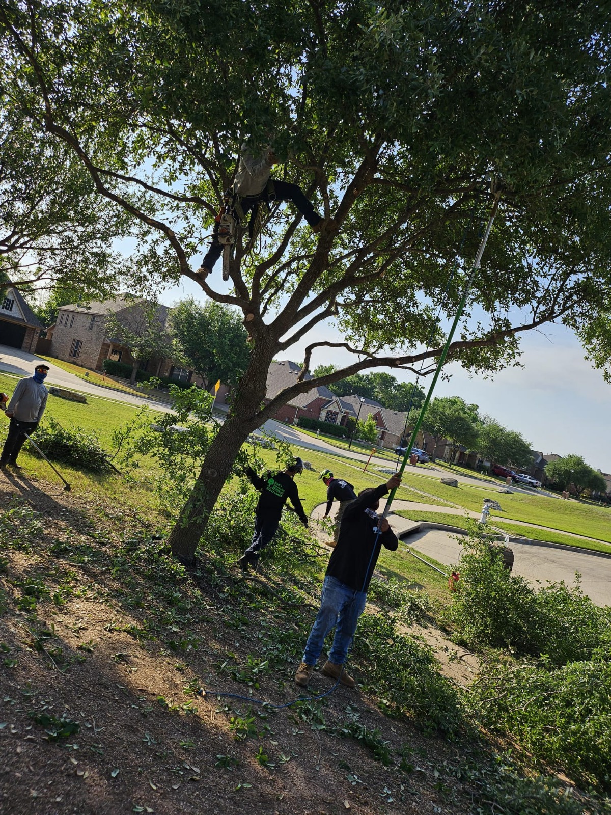 WhatsApp Image 2026-02-16 at 2.45.57 PM