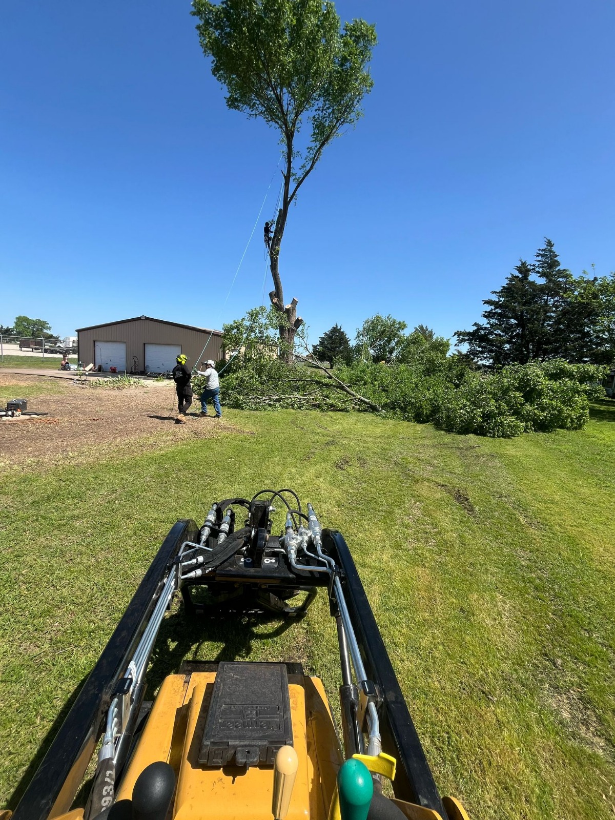 WhatsApp Image 2026-02-16 at 2.46.21 PM (1)