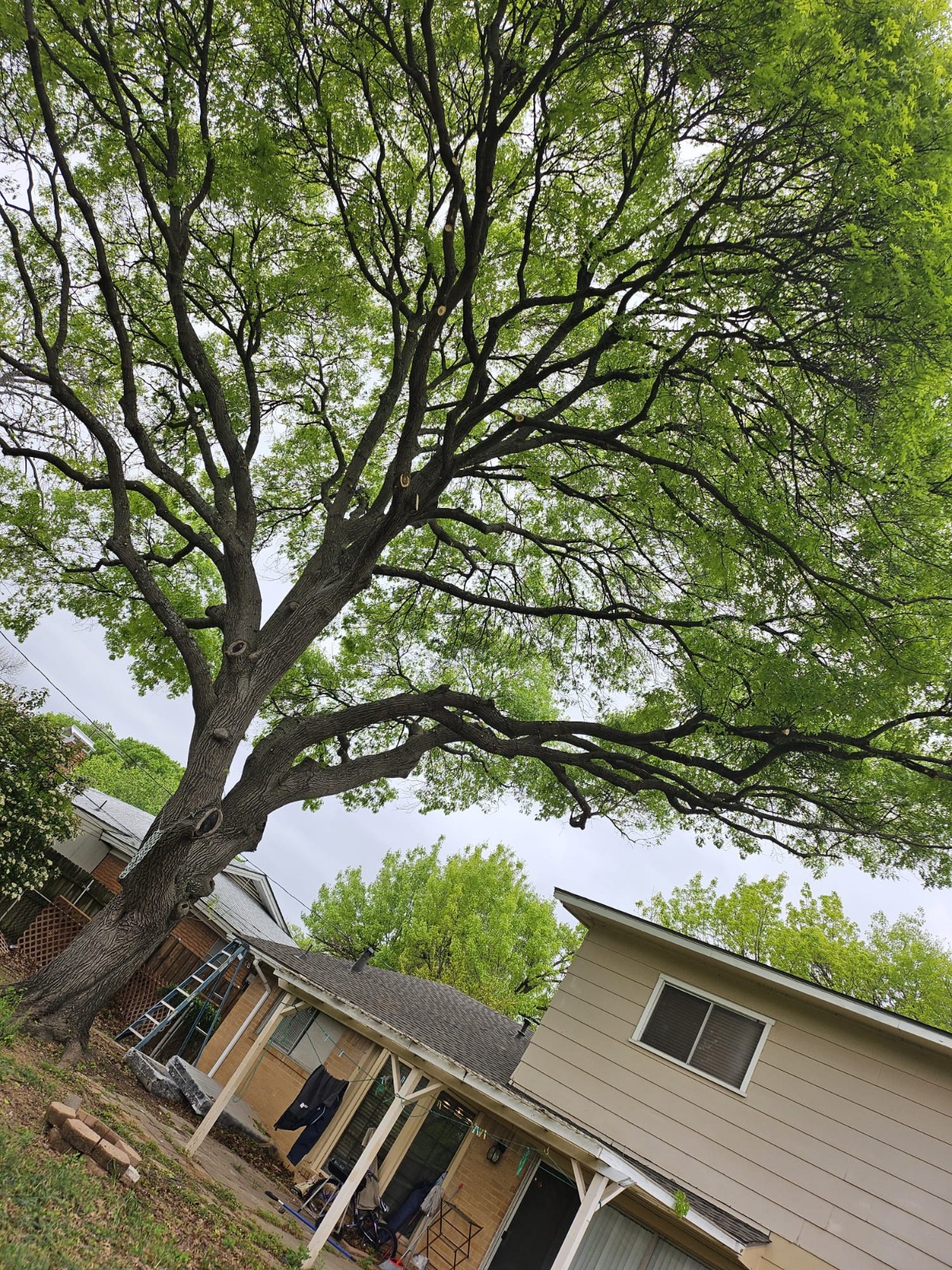 WhatsApp Image 2026-02-16 at 2.46.21 PM (3)