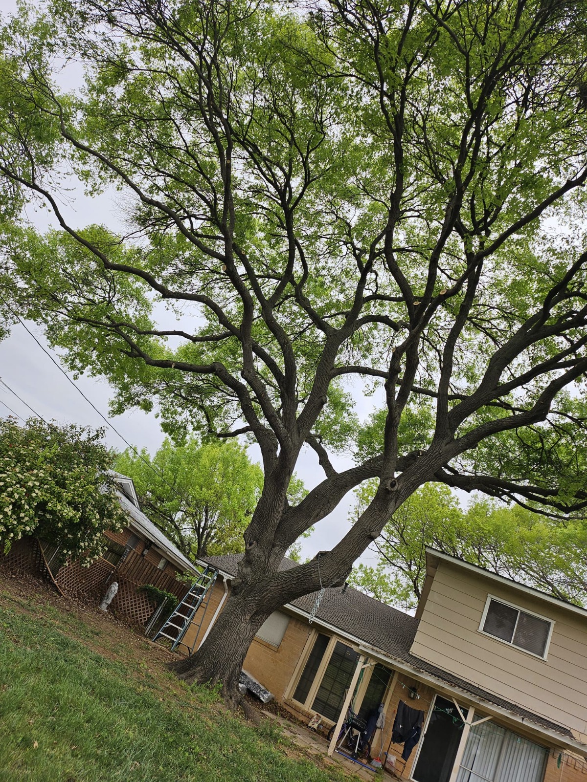 WhatsApp Image 2026-02-16 at 2.46.21 PM