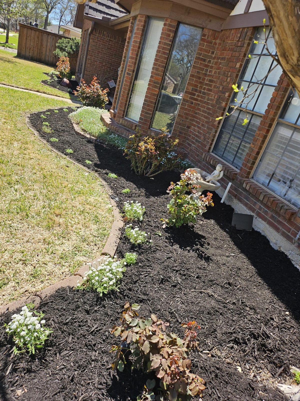 WhatsApp Image 2026-02-16 at 2.46.22 PM