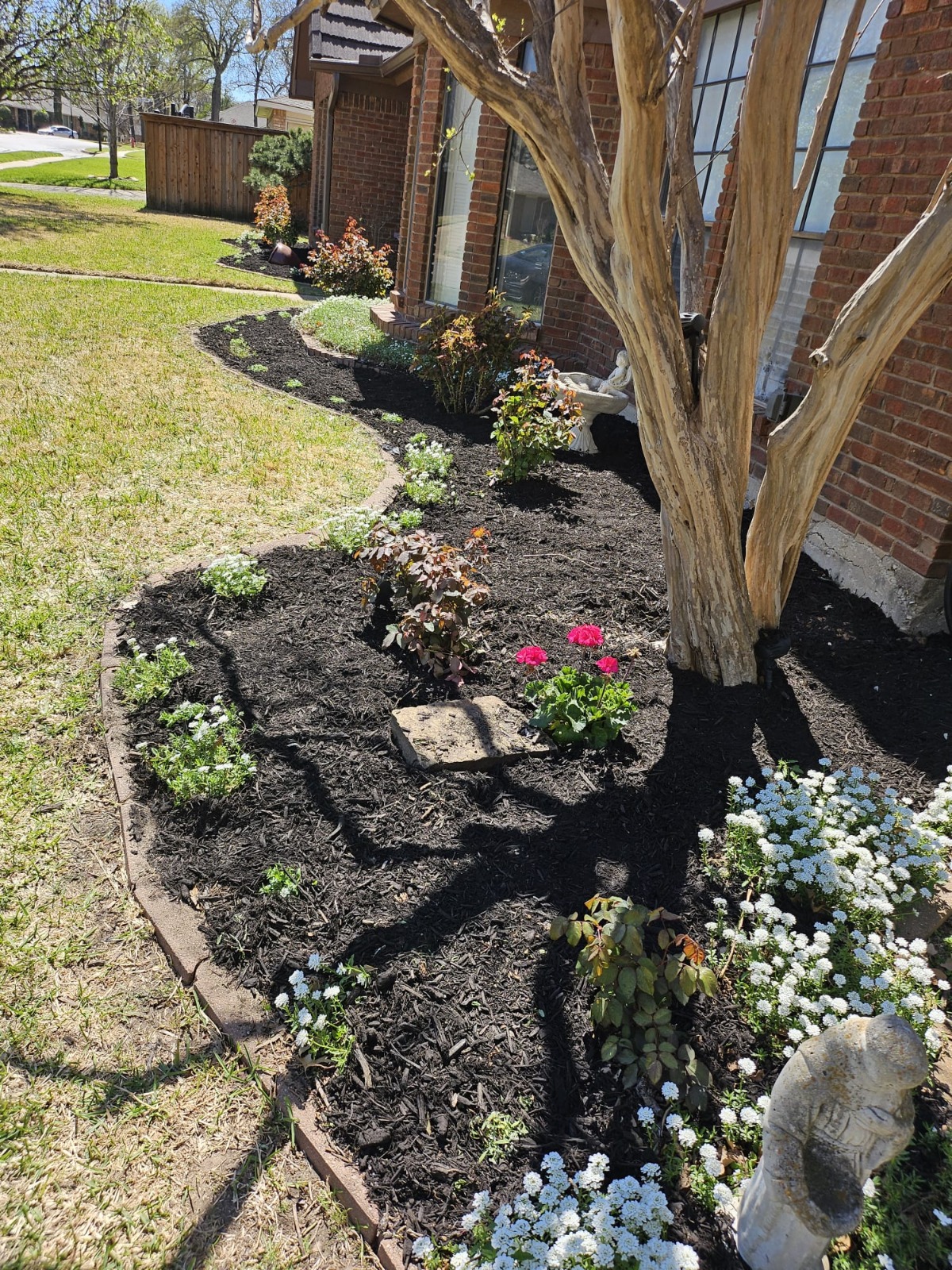 WhatsApp Image 2026-02-16 at 2.46.23 PM (1)