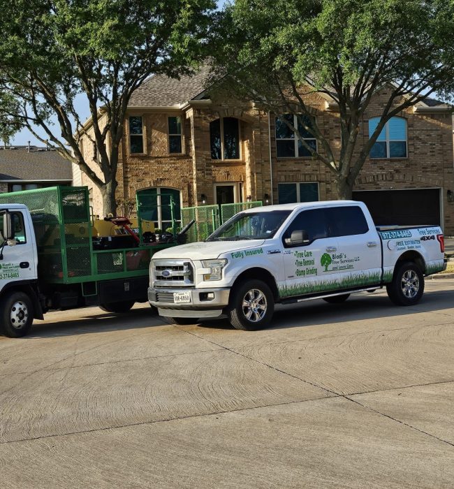 WhatsApp Image 2026-02-16 at 2.46.10 PM